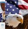 Bald Eagle & Flag Diamond Painting Kits for Adults - Diamond Art Kits a Relaxing Creative Craft Kit with Dotz Gems 22x28